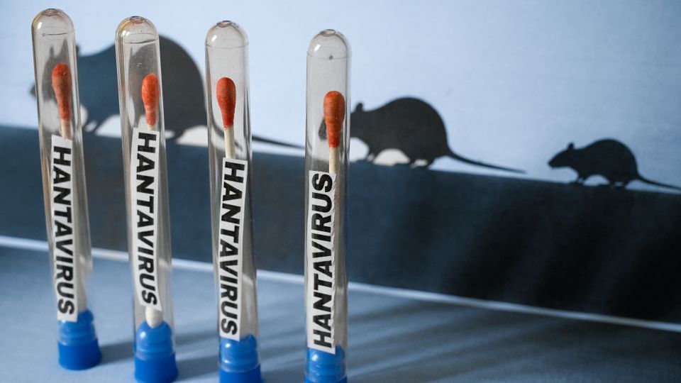 Alerta Hantavirus: el total de casos en Argentina asciende a 102