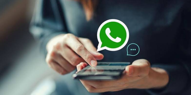 147: proponen crear un whatsapp en La Plata para reclamos, alertas y servicios